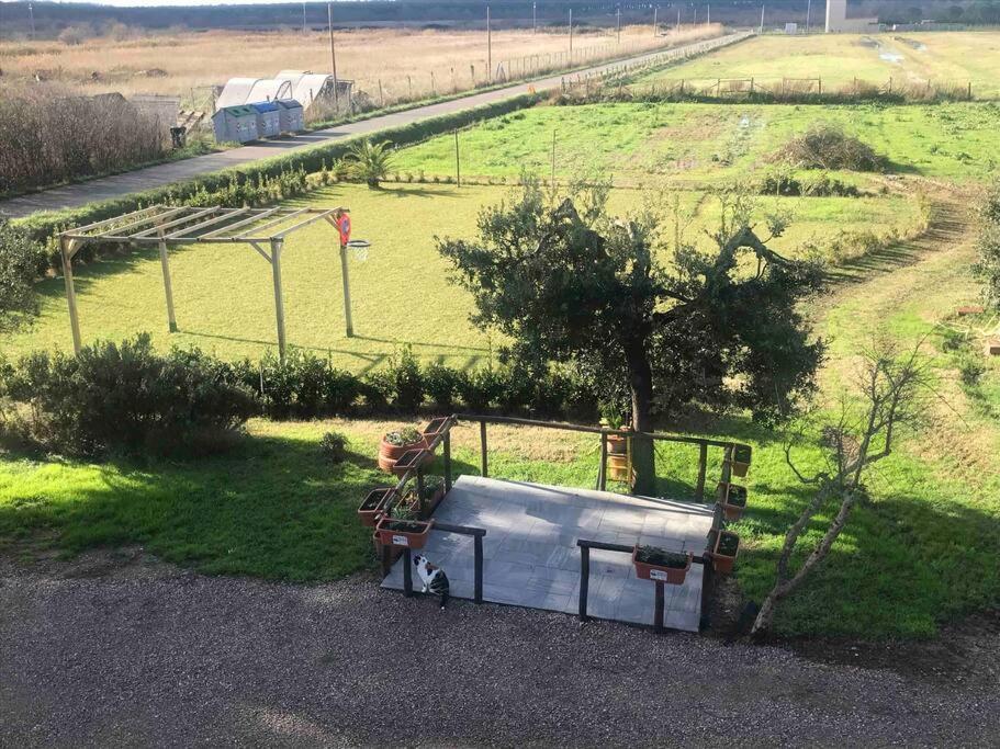 Agriturismo Il Sorbino - Appartamento Da Cocca Pian d'Alma Exterior photo